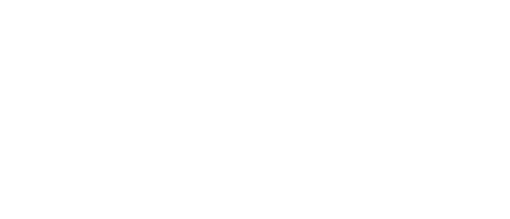 Bri Security Logo white