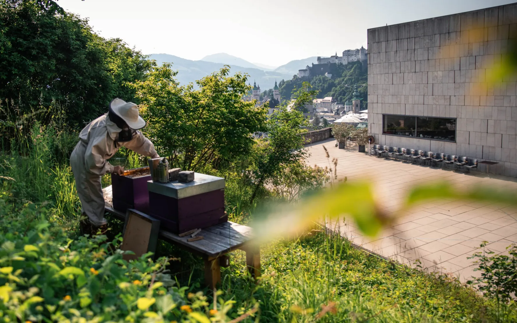 Headerbild. Darauf zu sehen ist eine Frau in einem Imkeranzug, die an einem Bienenstock arbeitet. Im Hintergrund sieht man das Museum der Moderne und die Stadt Salzburg