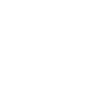 Logo (white) BOS