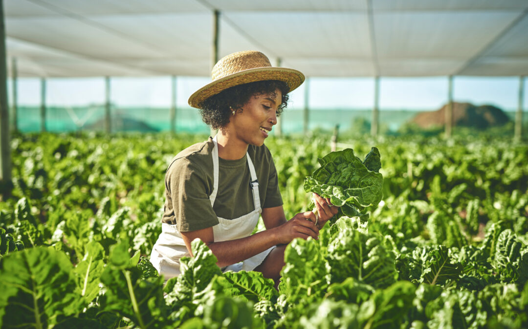 Shot of a young woman working with crops on a farm