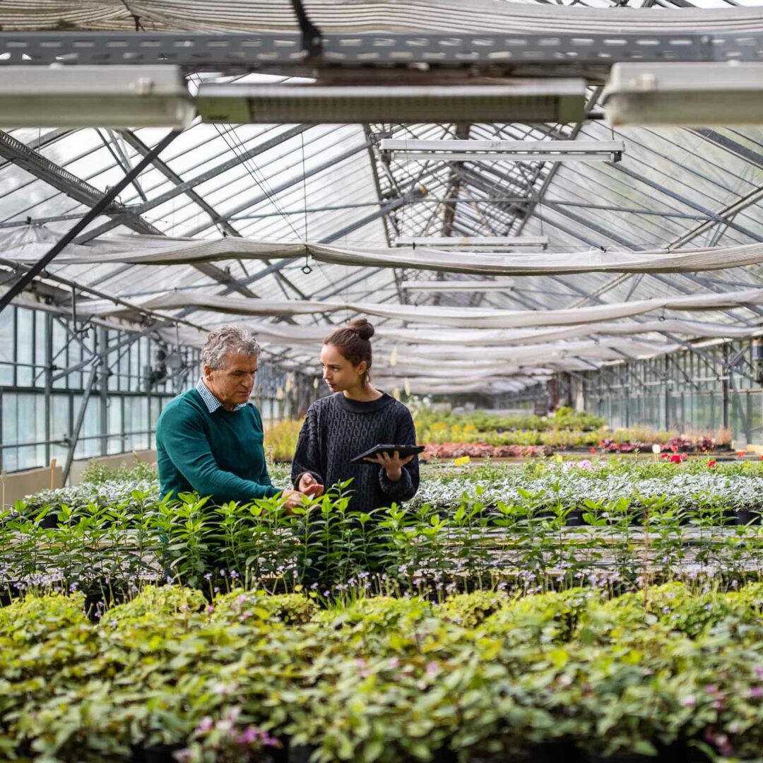 Greenhouse house worker talking with a man customer.