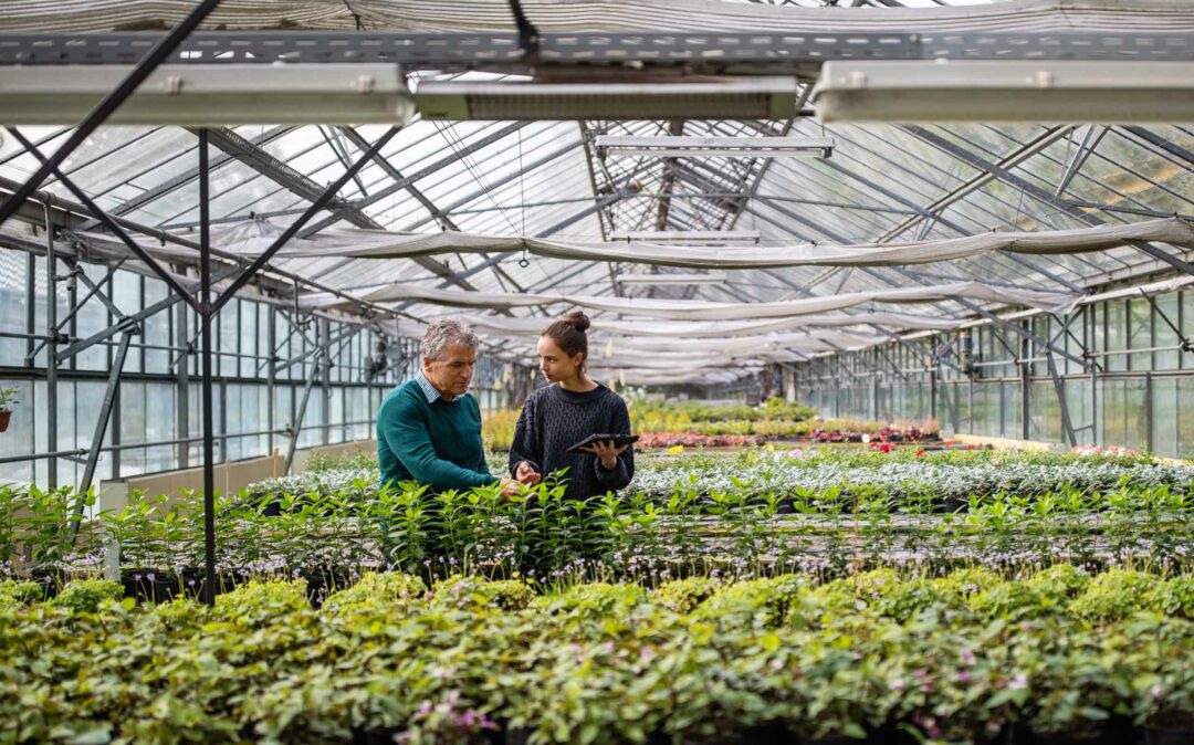 Greenhouse house worker talking with a man customer.