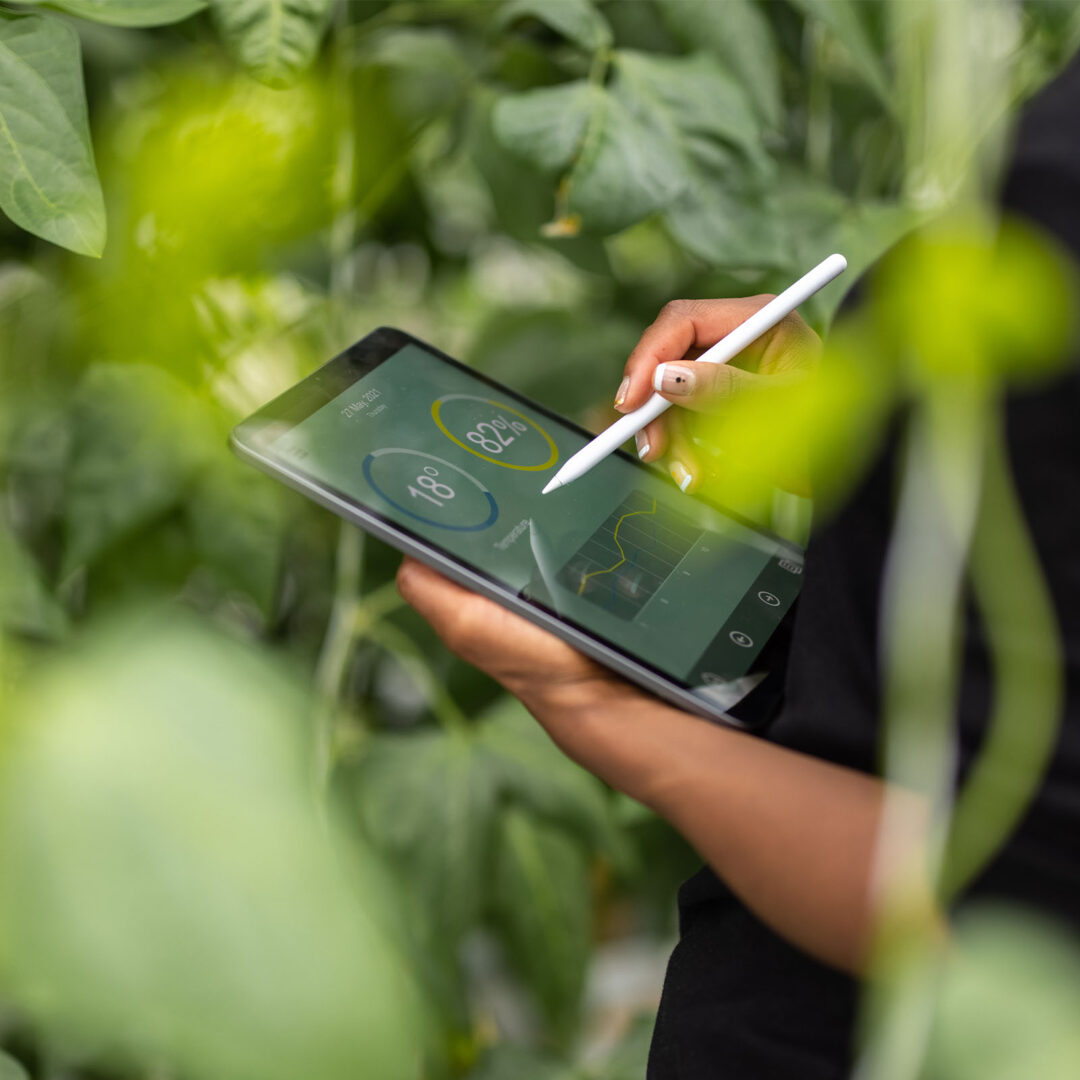 Agronomist using digital tablet for analysis of plantation