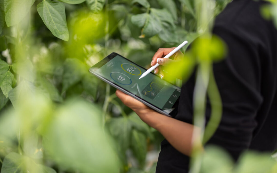 Agronomist using digital tablet for analysis of plantation