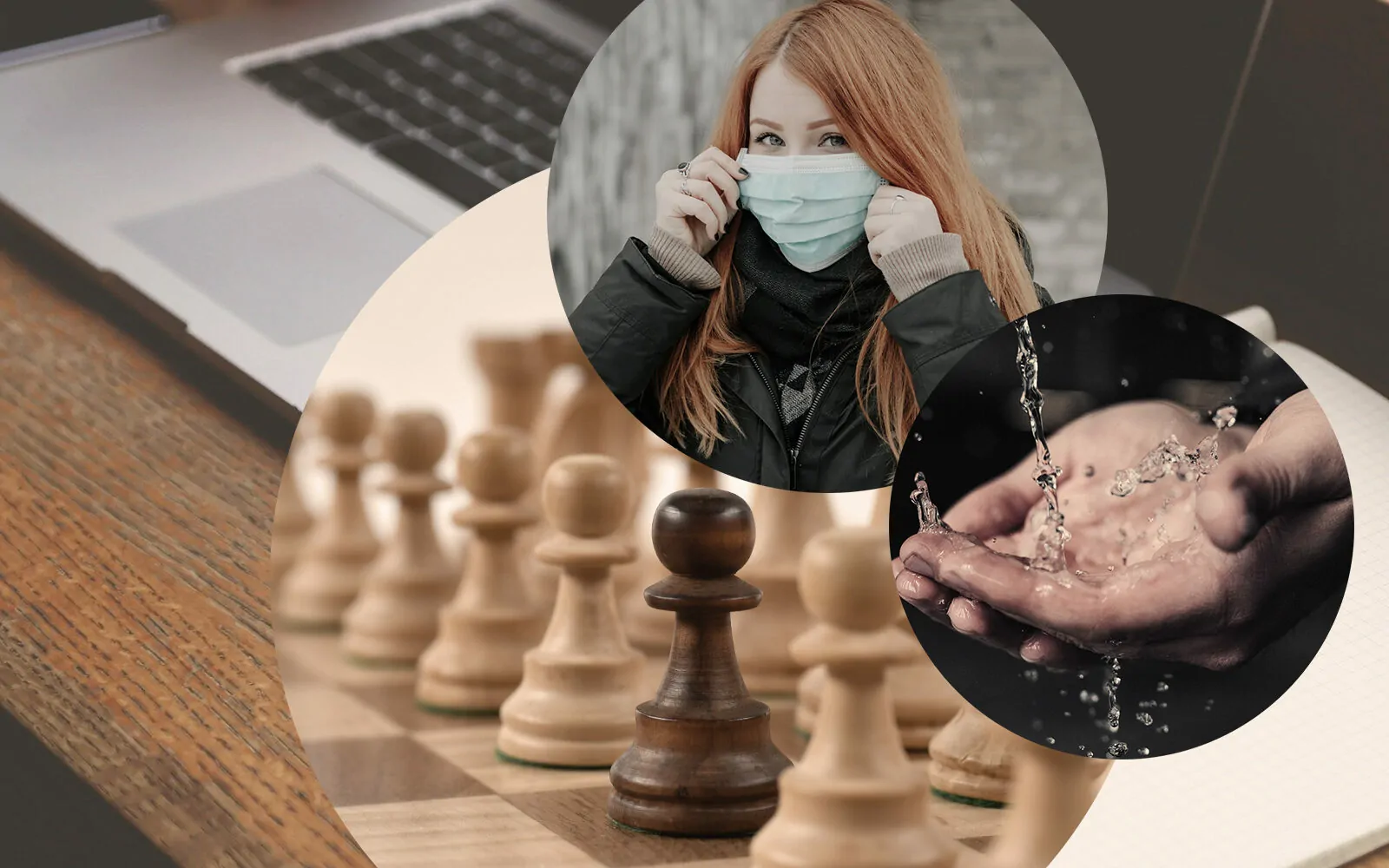 Managing the Chessboard of Human Society: Lessons from the Online