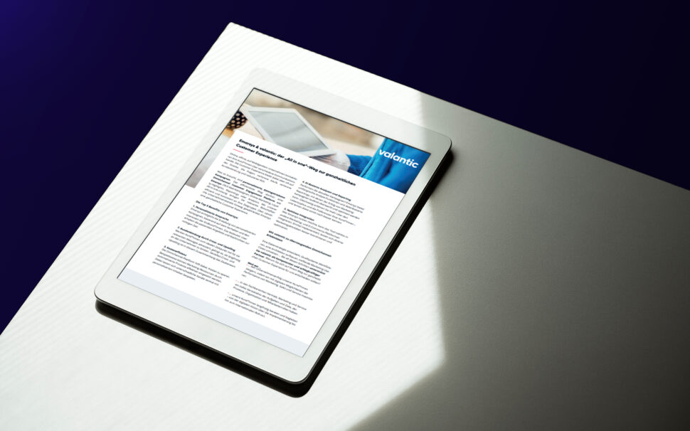 Mockup: Cover von Factsheet Emarsys und valantic