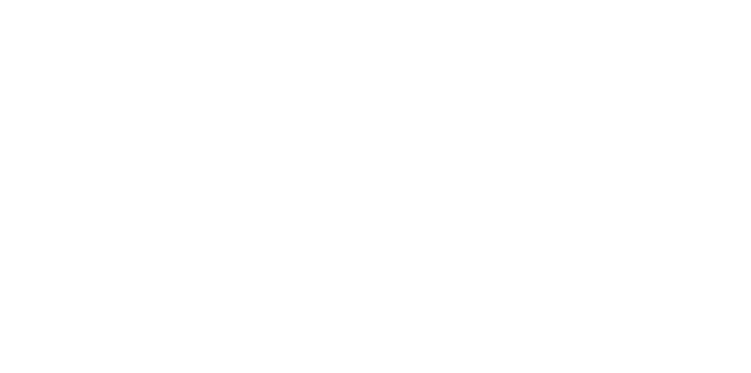 Logo NORMA GROUP Webshop